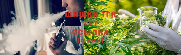 хмурый Аша