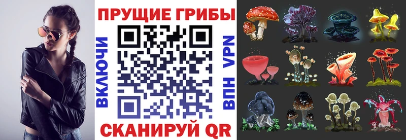 KRAKEN ONION  Лабытнанги  Галлюциногенные грибы прущие грибы  купить наркотик 