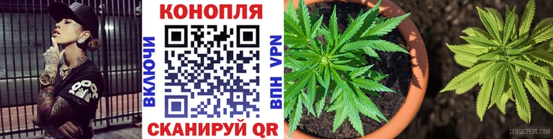 Канабис MAZAR  Лабытнанги 